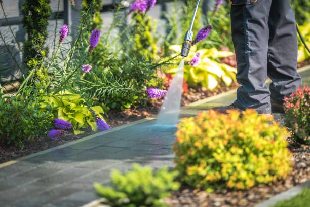 Professional  Pressure Washing Services in Brickerville, PA